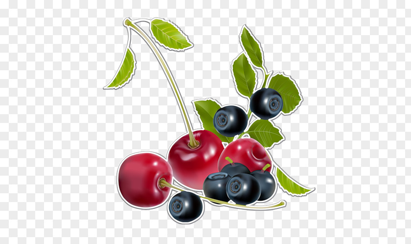 Blueberry Fruit Food PNG
