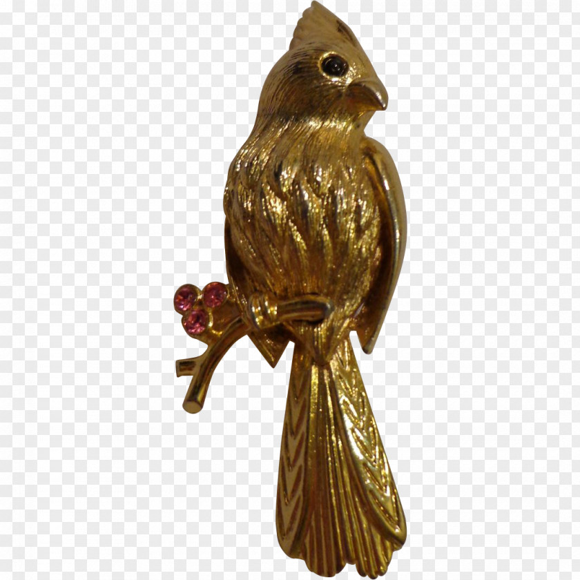 Brooch Bird Beak Metal PNG