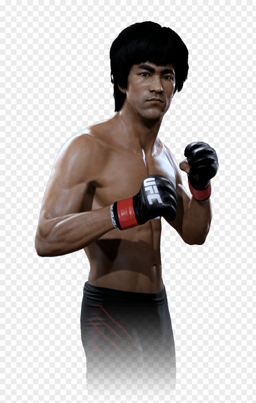 Bruce Lee Georges St-Pierre Boxing Glove Pradal Serey Strike PNG