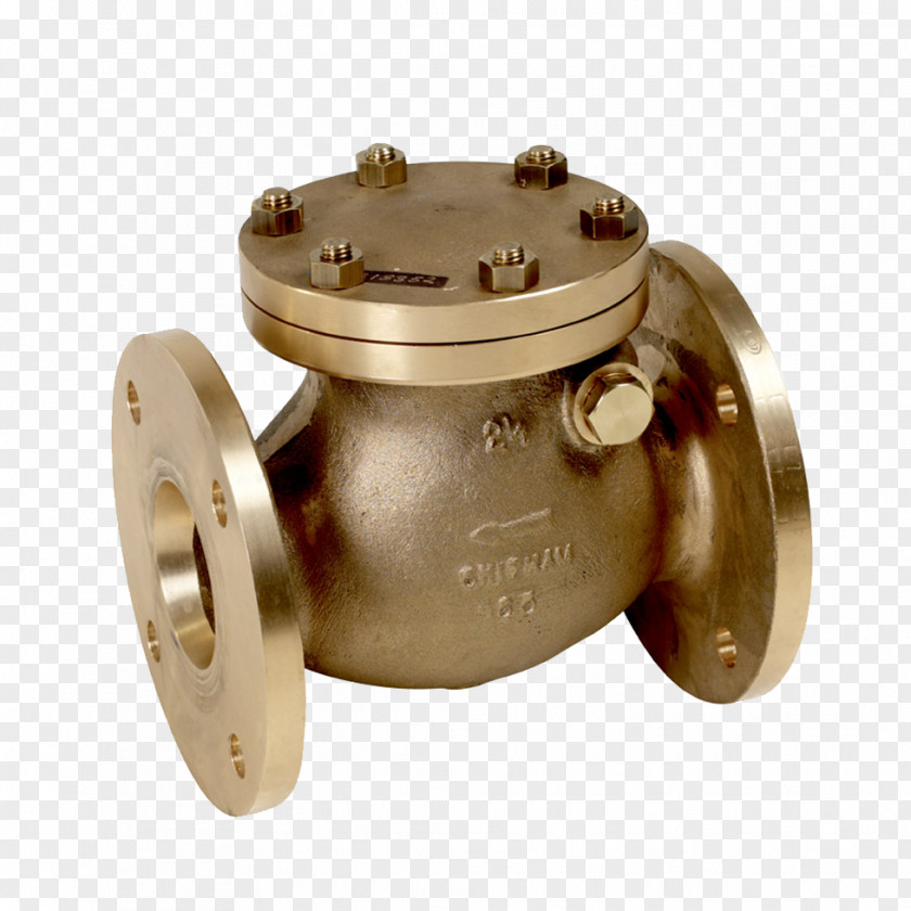 Check Valve Brass Copper Gunmetal Bronze Alloy PNG