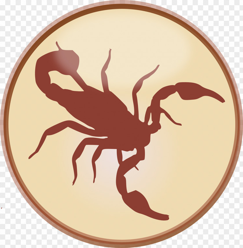 Crab Scorpion Clip Art PNG