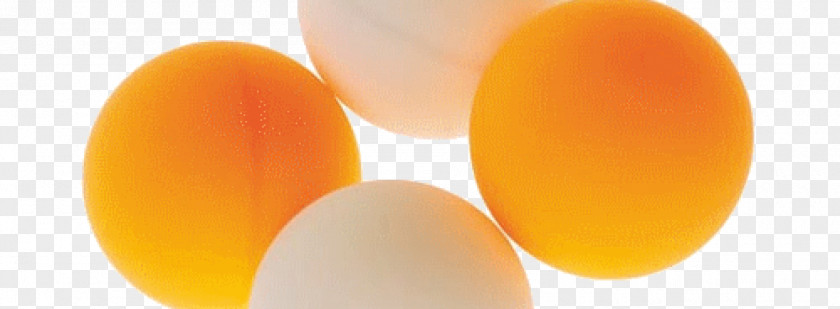 Egg White PNG