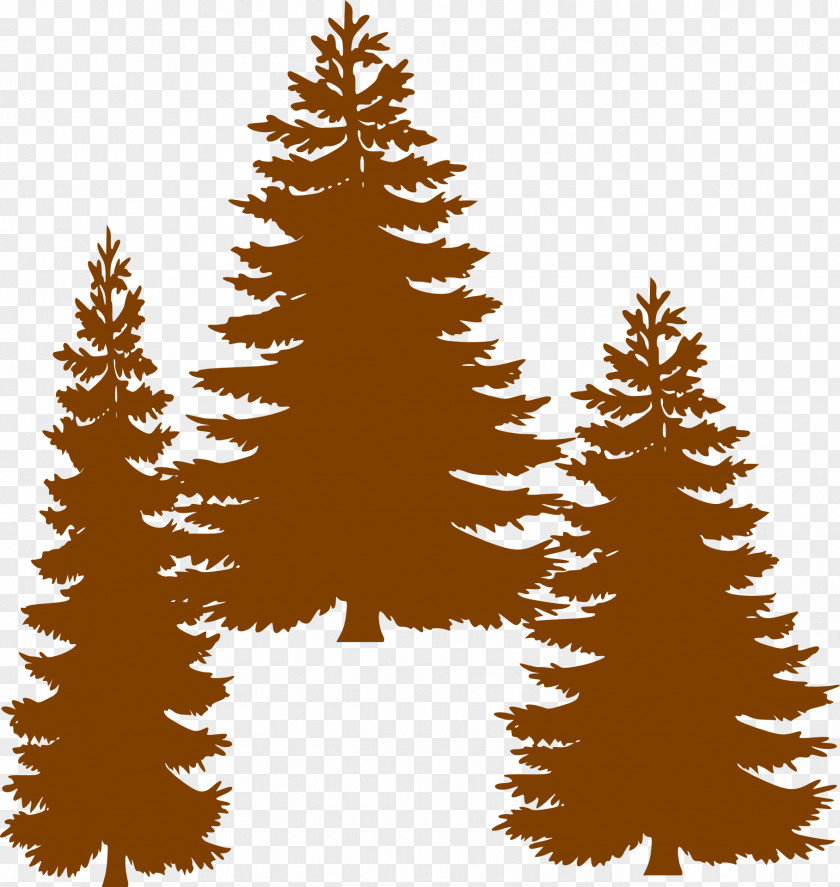 Fir-tree Pine Tree Fir Clip Art PNG