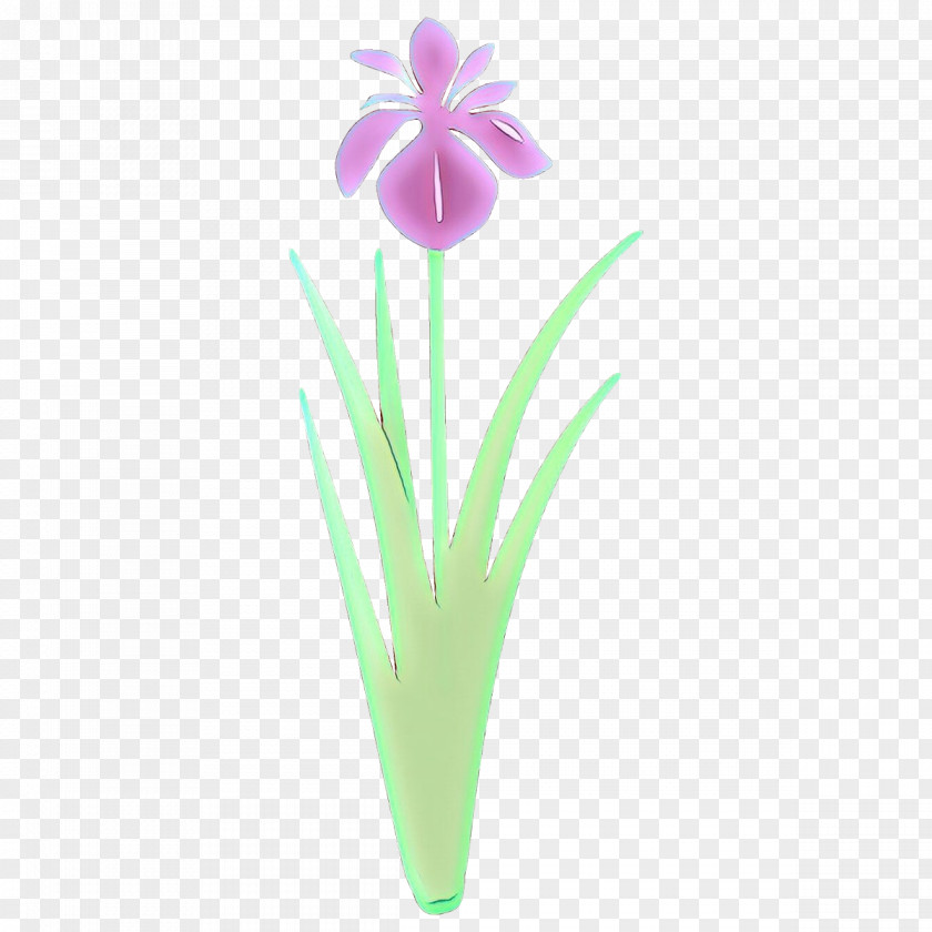 Flower Plant Petal Iris Flowerpot PNG