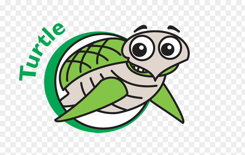 Swimming Sea Turtle Tortoise Clip Art PNG