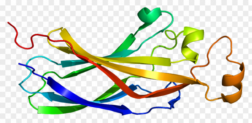 ASF1A Chaperone Protein Histone Gene PNG