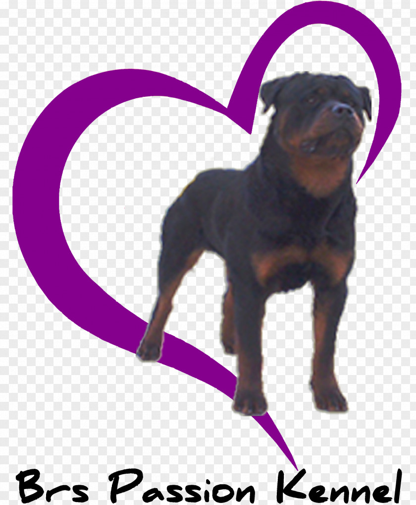 Puppy Il Rottweiler Dog Houses Childbirth PNG
