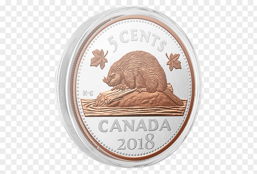 Royal Canadian Mint Coin Animal PNG