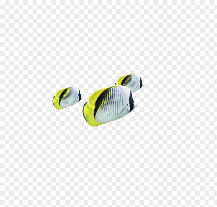 Tropical Fish Personal Protective Equipment Yellow Shoe PNG