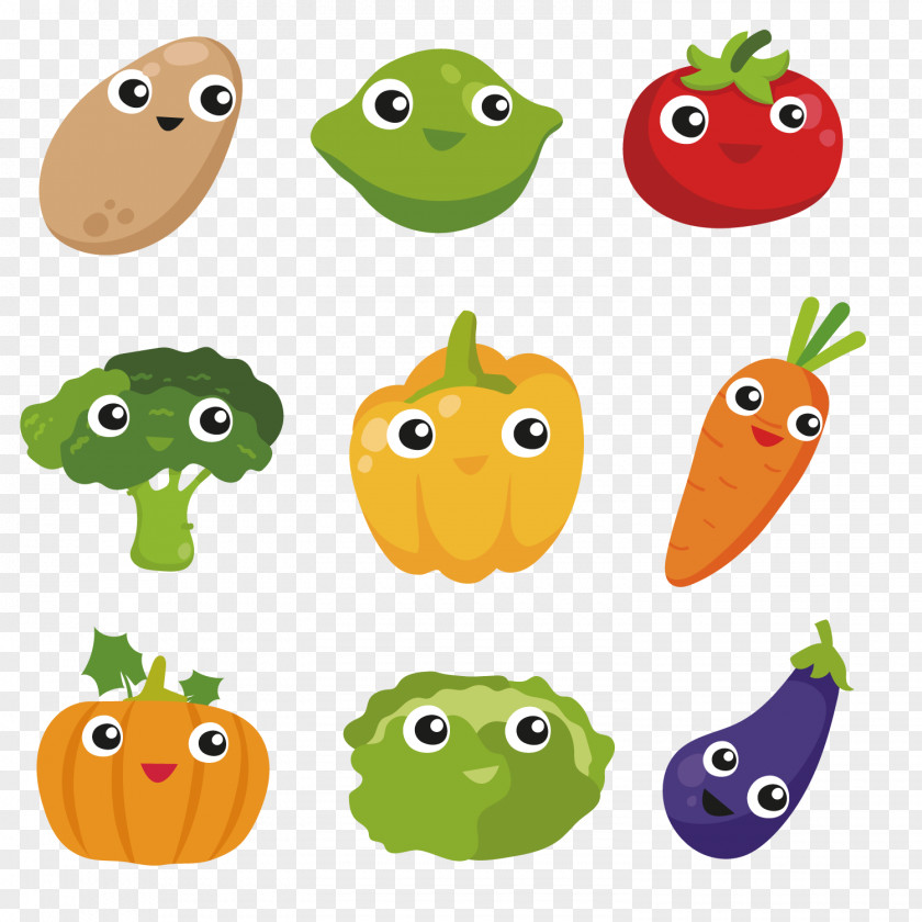 Vector Collection Of Color Vegetables Vegetable Photography Euclidean PNG