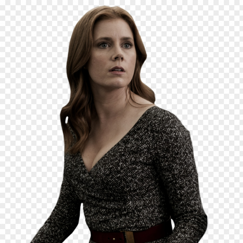 Amy Adams Lois Lane Man Of Steel Batman DC Extended Universe PNG