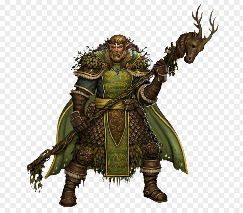 Elf Pathfinder Roleplaying Game Druid Dungeons & Dragons D20 System PNG
