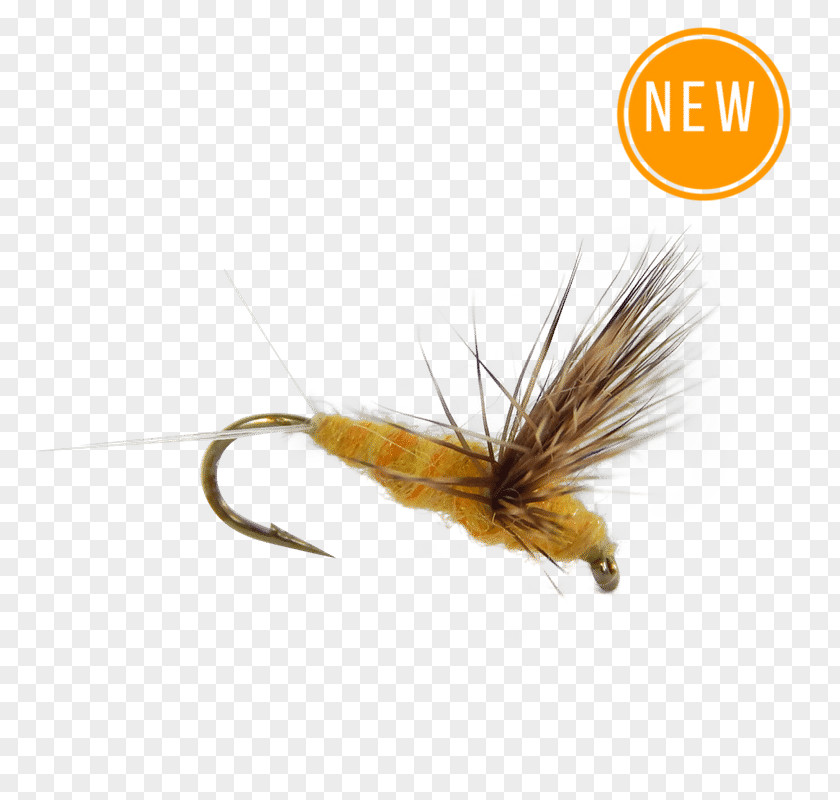 Fly Dry Fishing Trout Flies: Proven Patterns Essential Flies PNG