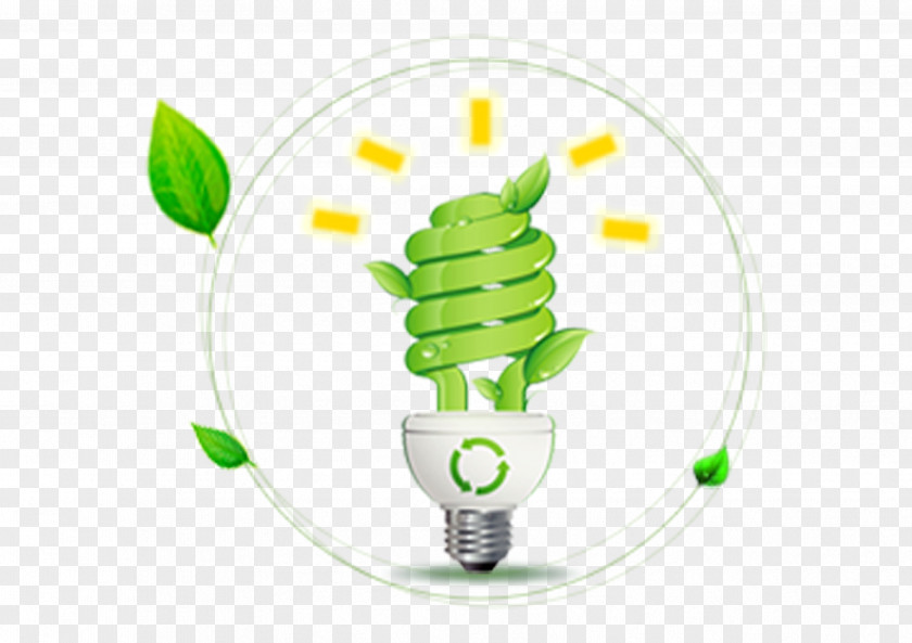 Green Light Bulb Incandescent Electricity Energy Conservation PNG