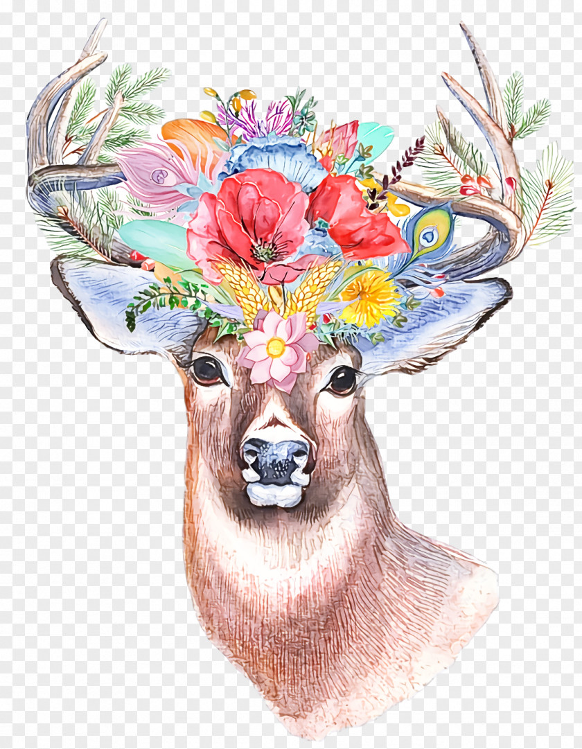 Reindeer PNG