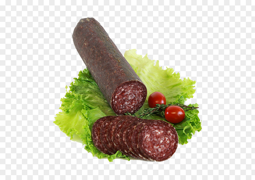 Salam Salami Sujuk Mettwurst Sausage Meat PNG