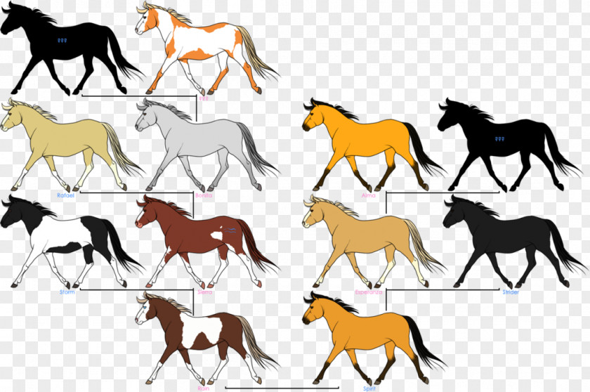 Spirit Mustang Horses Drawing Family Tree DeviantArt PNG