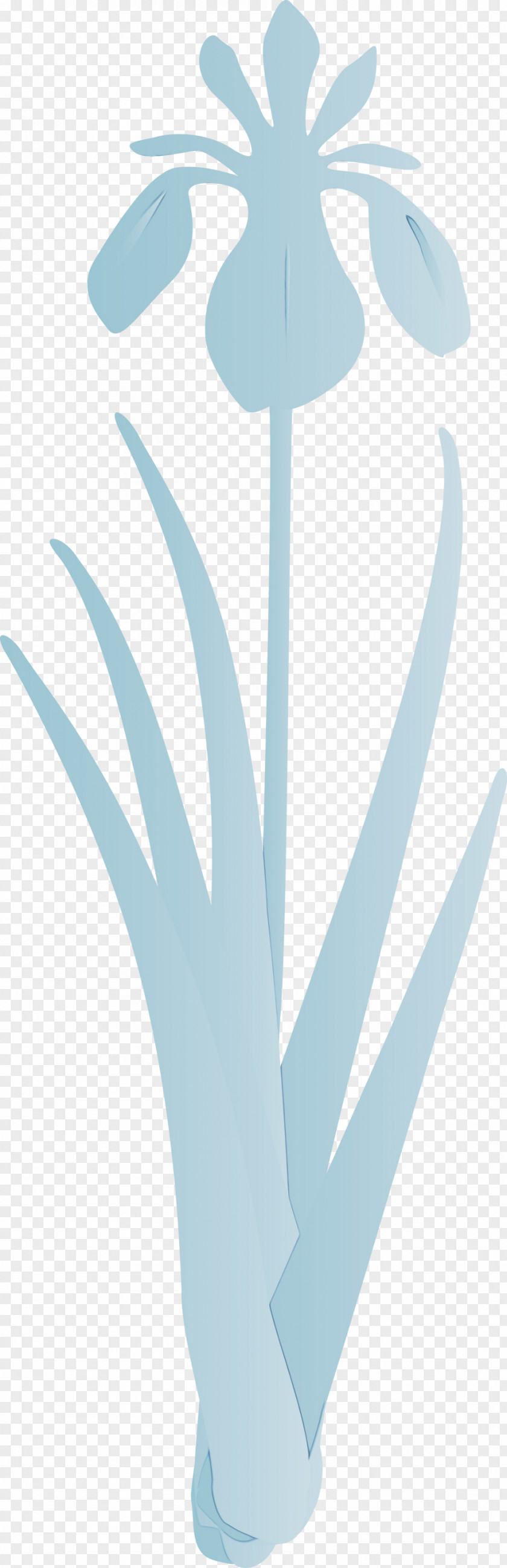 Turquoise Leaf Aqua Plant Flower PNG