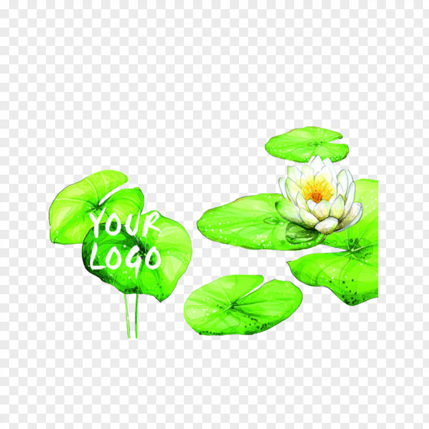 Hand-painted Lotus Leaf Watercolor Painting PNG