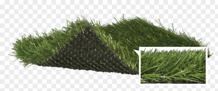 Metro Synthetic Turf Perth National City Artificial Fast Grass Lawn Sporturf International (Synthetic Turf) PNG