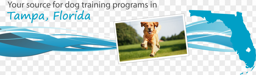 Police Dog Training Puppy Veterinarian PNG