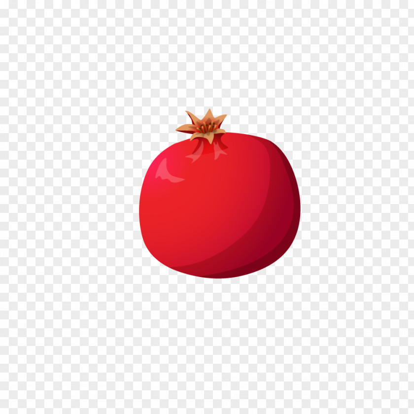 Pomegranate Red Fruit PNG