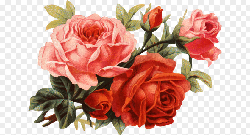 Rose Paper Clip Art PNG