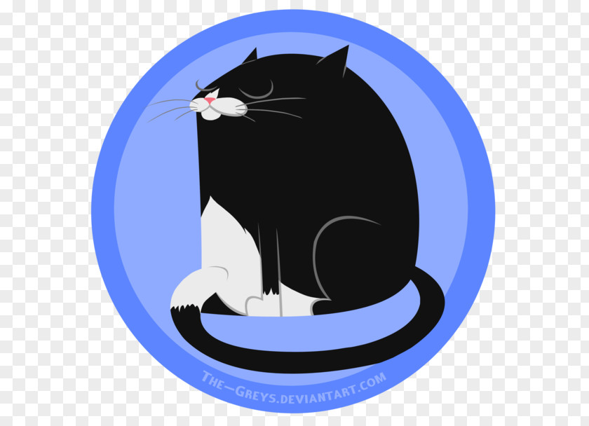 Cat Black Whiskers Tuxedo Drawing PNG