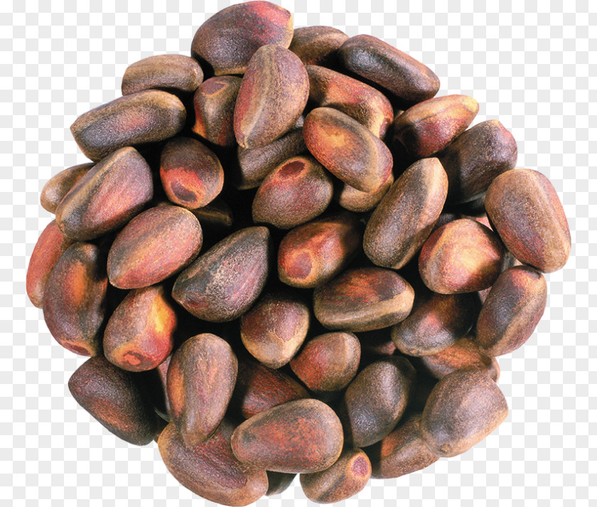 Oil Pine Nut Nuts Pinus Sibirica Peanut PNG