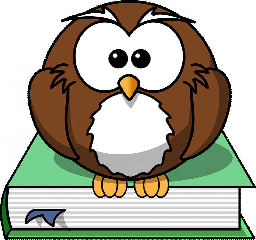 Owl Tawny Bird Clip Art PNG