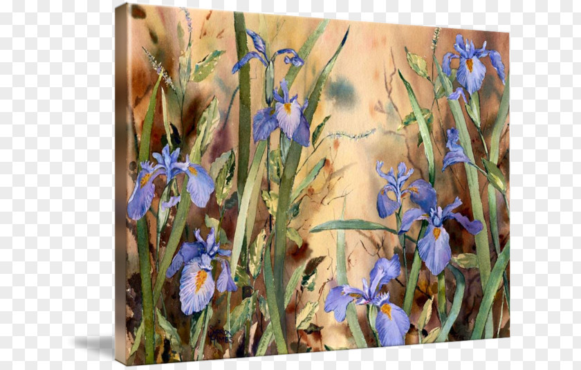 Painting Wildflower Lavender PNG