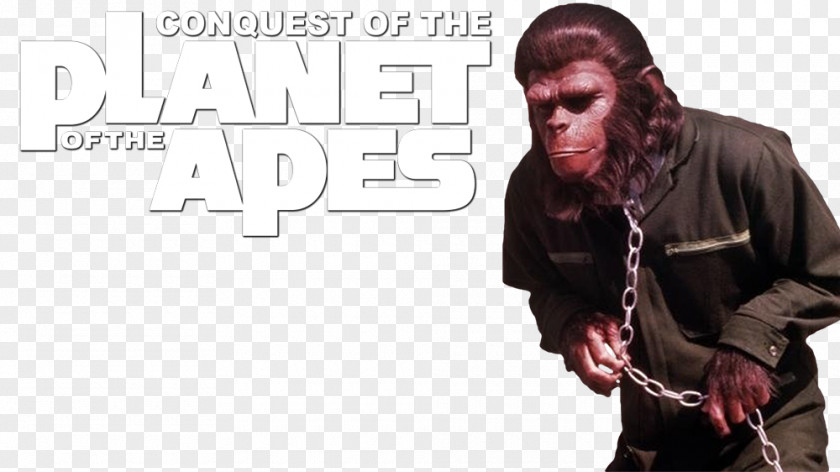 Planet Of The Apes Caesar Dr. Zira Film PNG