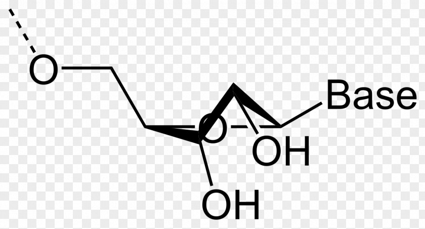 Rna Tartaric Acid IPhone X Stearyl Palmityl Tartrate Henderson–Hasselbalch Equation PNG