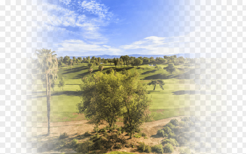 Spring Real Estate Posters Stock Photography Golf Club Drive PNG