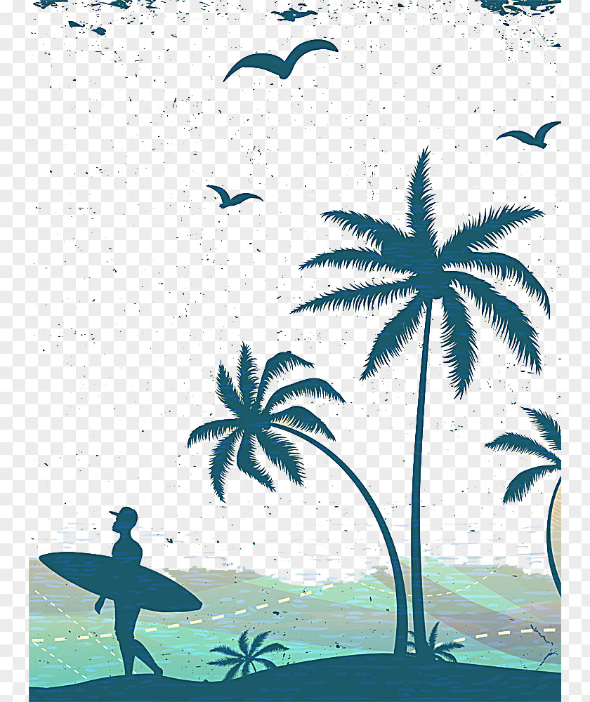 Surf Arecaceae Euclidean Vector Poster PNG