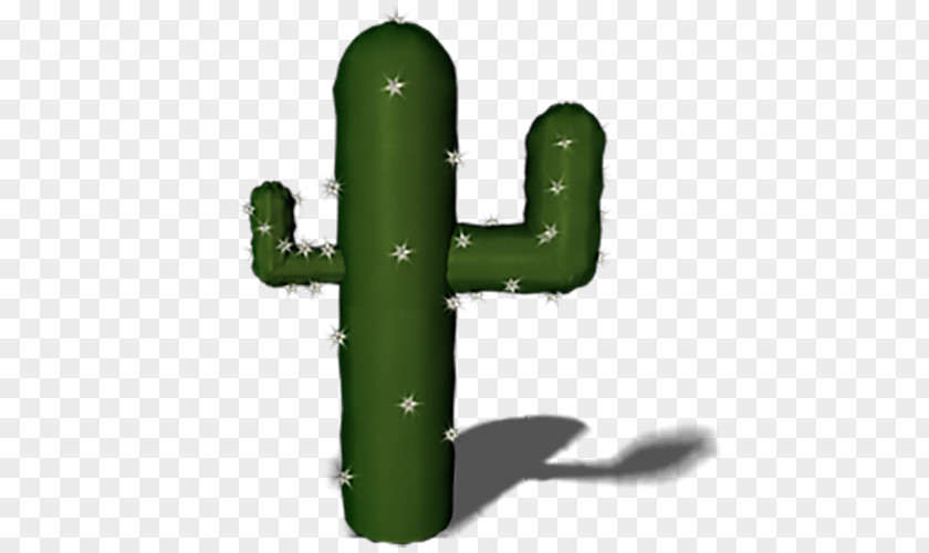 A Cactus Survive Cactaceae Icon PNG
