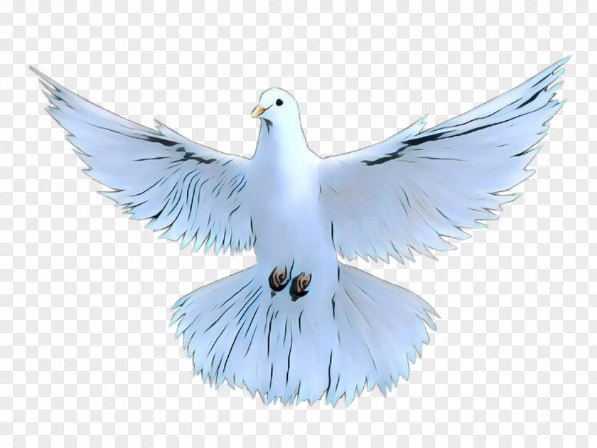 Ornament Peace Symbols Dove Bird PNG
