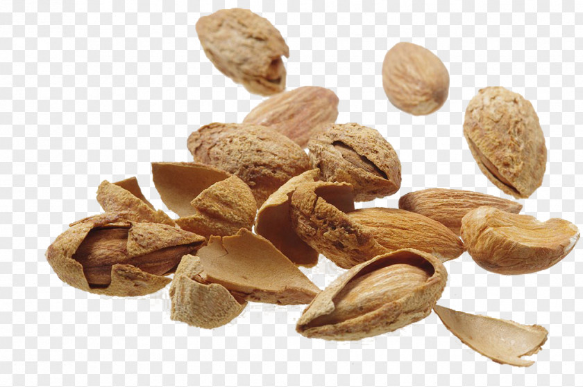 Almond Nut Food PNG