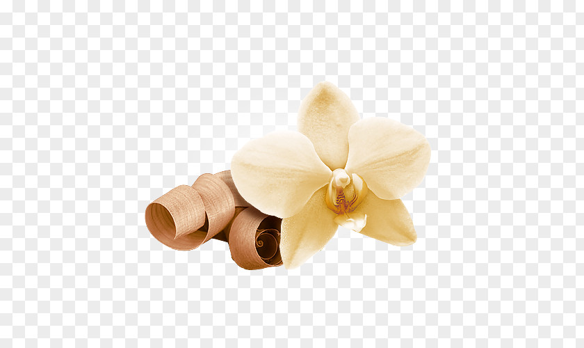 Flower Indian Sandalwood Petal Orchids Eau De Cologne PNG