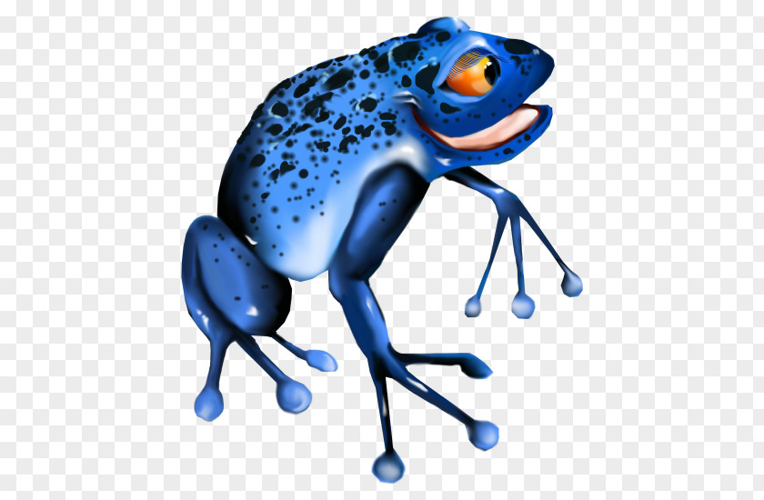 Frog Toad Blue Poison Dart Clip Art PNG