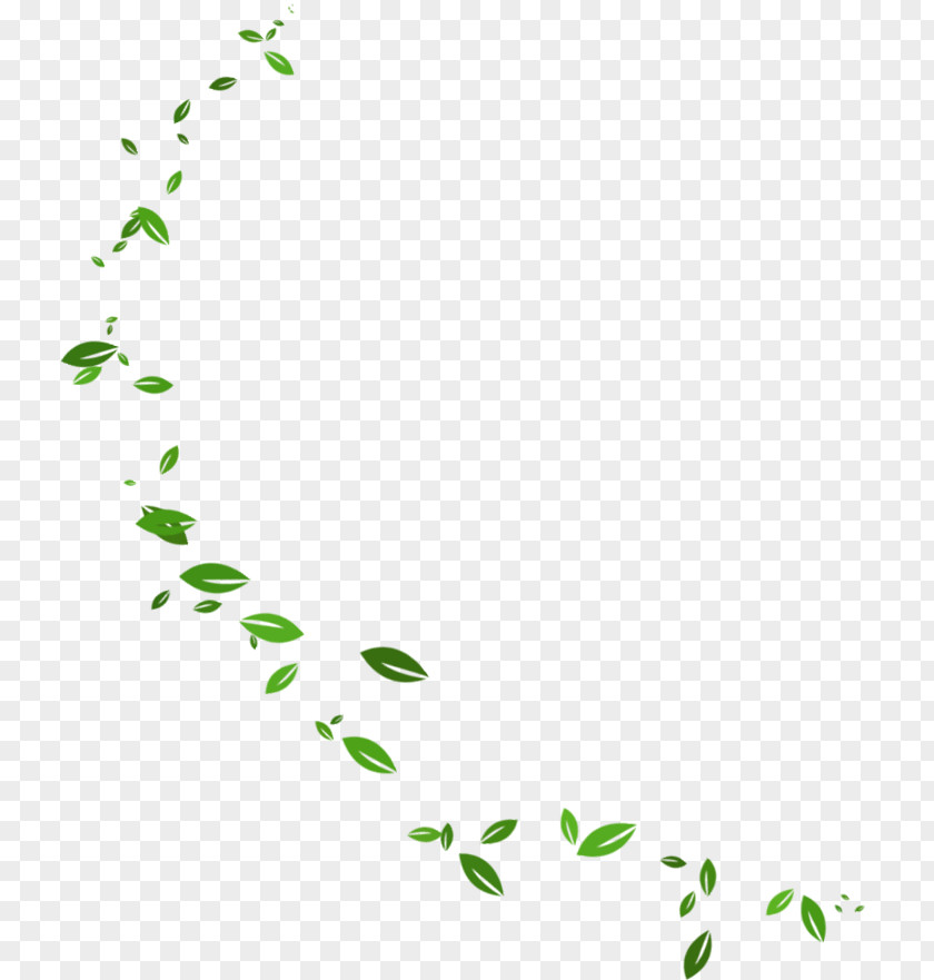 Green And Fresh Leaves Floating Material Leaf Download Information PNG