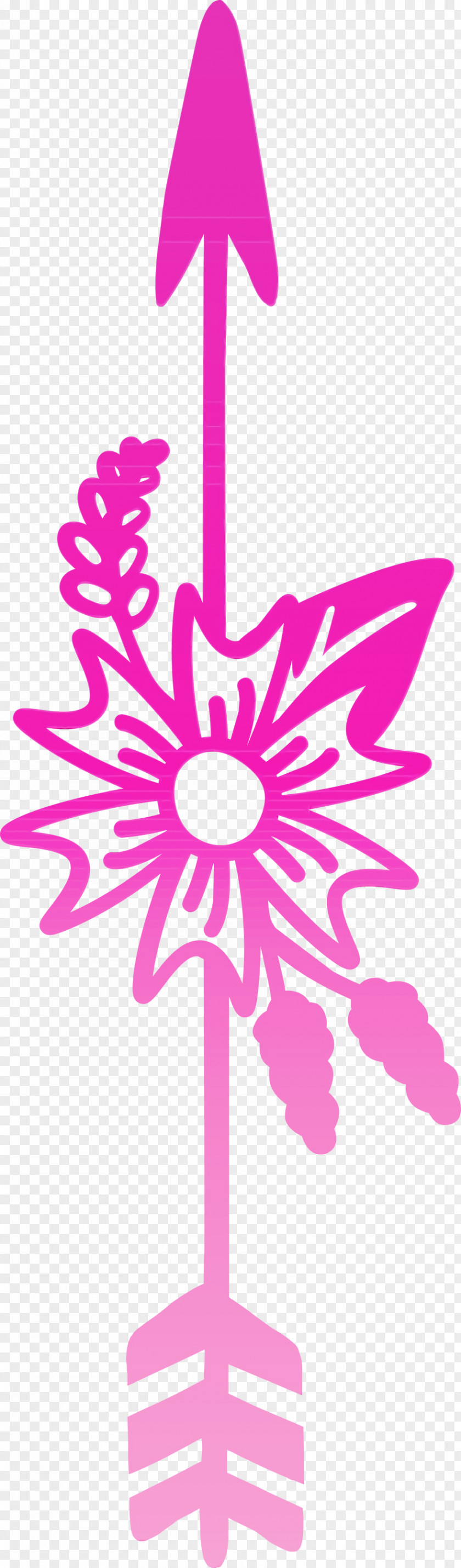 Pink Magenta Plant Petal Flower PNG