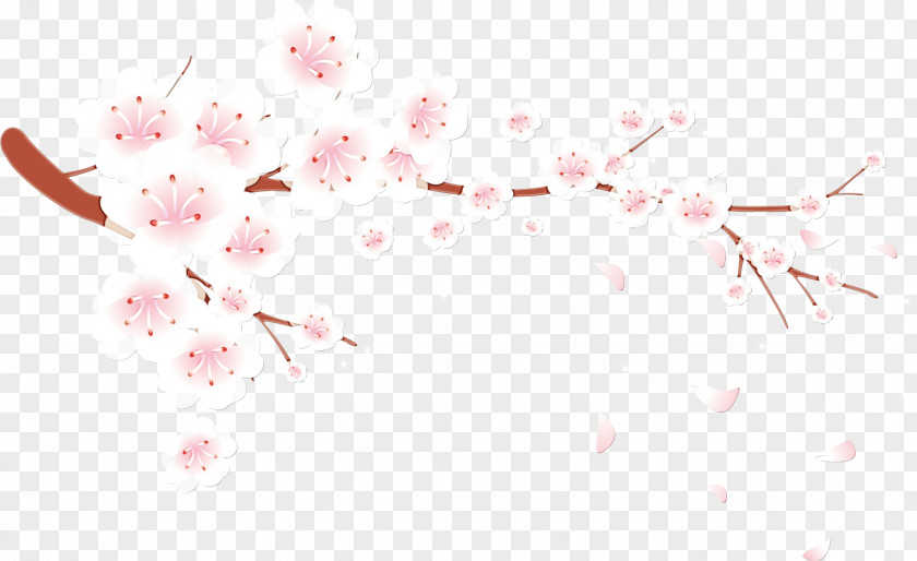 Plant Spring Cherry Blossom PNG