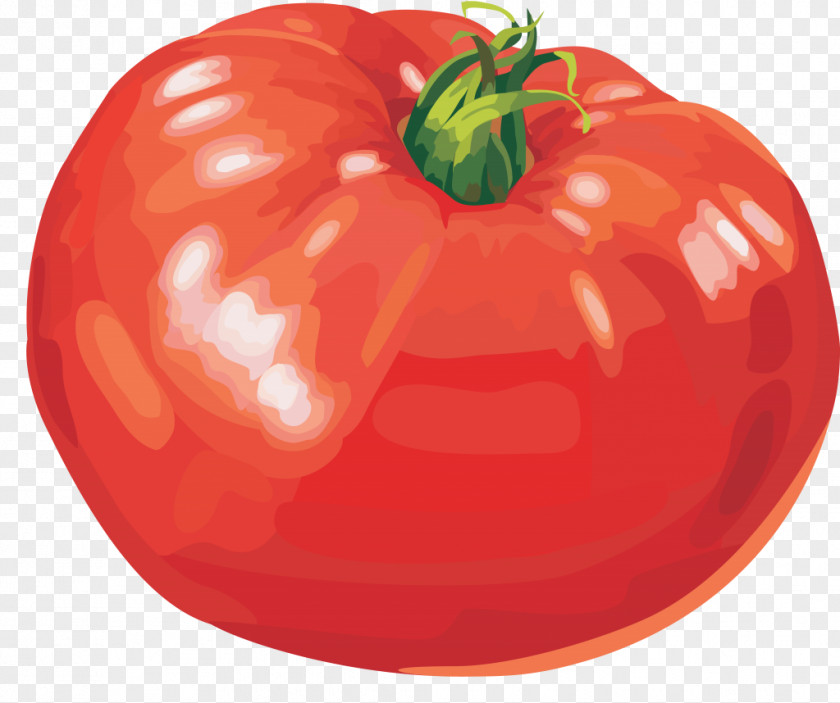 Vegetable Cherry Tomato Bolognese Sauce Shchi Ragout PNG