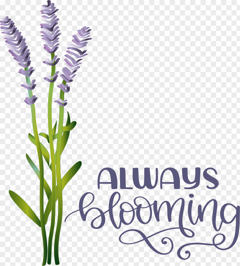 Floral Design PNG