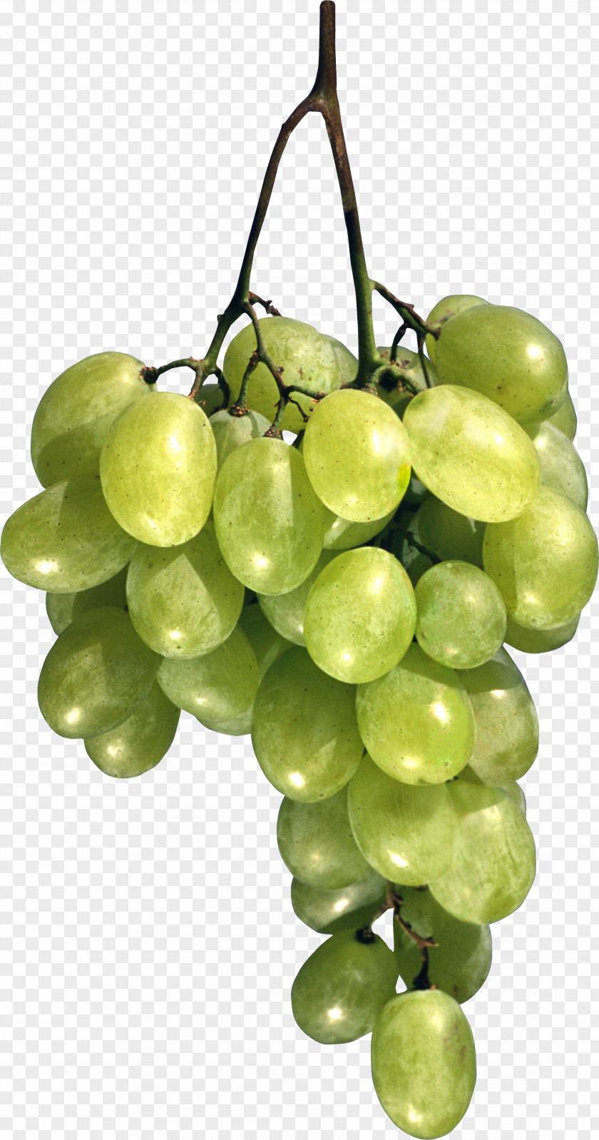 Green Grape Image Cafe LaFerme Restaurant Breakfast PNG