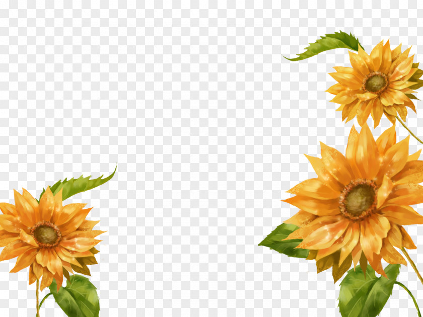 Hand-painted Sunflower Common Software PNG