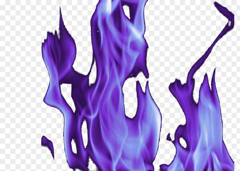 Purple Flame Violet PNG