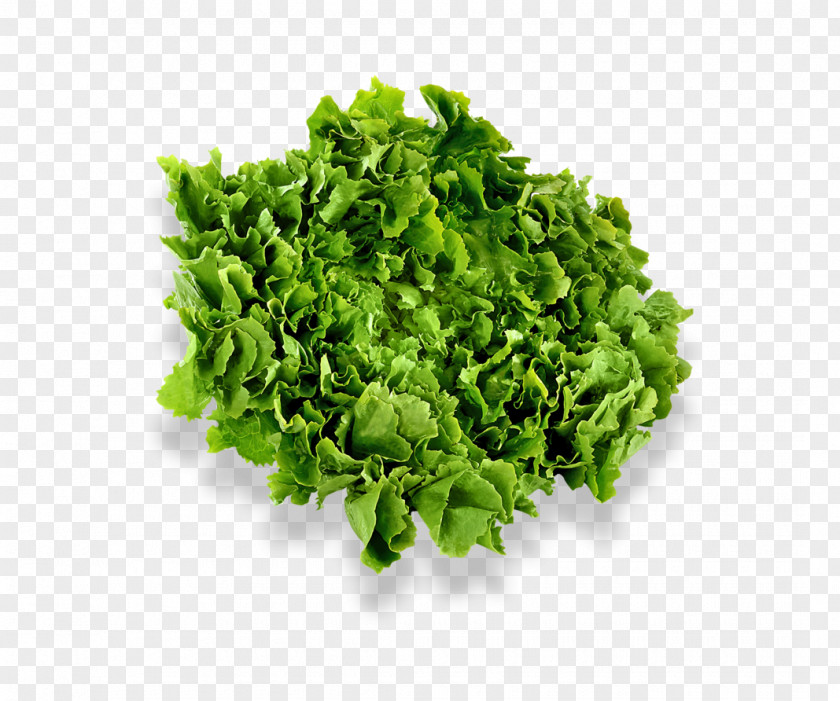 Salad Vegetable Cub Foods Spinach PNG