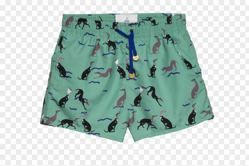 Trunks Swim Briefs Swimsuit Shorts Swimming PNG